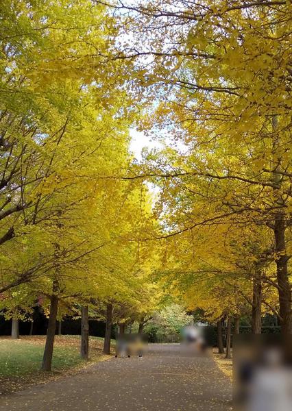 �_�ސ쌧����s���x2���ڂ̐V�z��ˌ��Ă̎��ӊ�