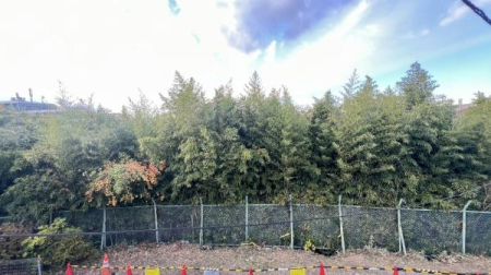 �_�ސ쌧���l�s���Z�c��2���ڂ̐V�z��ˌ��Ă̏Z�˂���̒��]�ʐ^