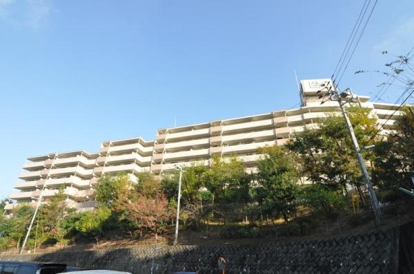 �_�ސ쌧���l�s��扪�Ò��̒��Ã}���V�����̌��n�O�ώʐ^