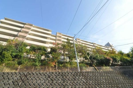 �_�ސ쌧���l�s��扪�Ò��̒��Ã}���V�����̉摜