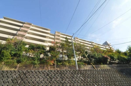 �_�ސ쌧���l�s��扪�Ò��̒��Ã}���V�����̉摜