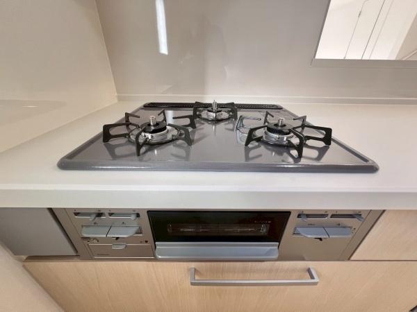 �_�ސ쌧���l�s�t��ޗǒ��̐V�z��ˌ��ẴL�b�`��