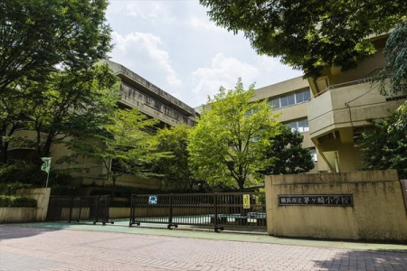 �_�ސ쌧���l�s�s�}�抝�P���1���ڂ̒��Ã}���V�����̎��ӊ�