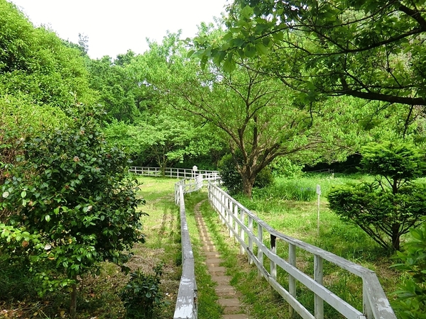�_�ސ쌧���s�����捂��3���ڂ̒��Ã}���V�����̎��ӊ�