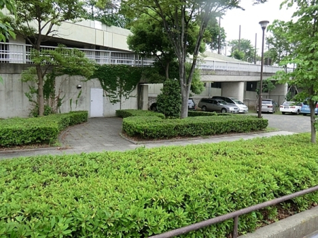 �_�ސ쌧���l�s�ߌ���s���a���̒��Ã}���V�����̎��ӊ�