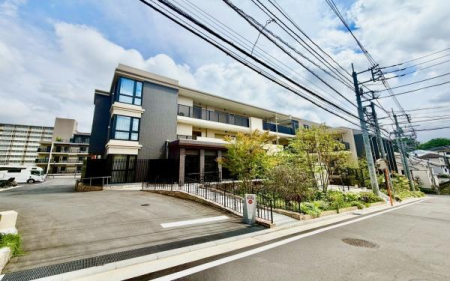 �_�ސ쌧���l�s�t��ޗǒ��̒��Ã}���V�����̂��̑����n