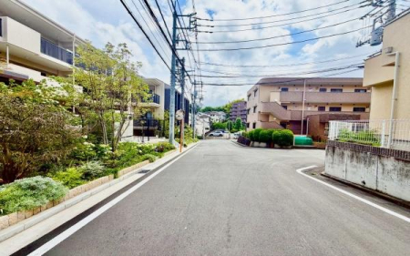 �_�ސ쌧���l�s�t��ޗǒ��̒��Ã}���V�����̂��̑����n