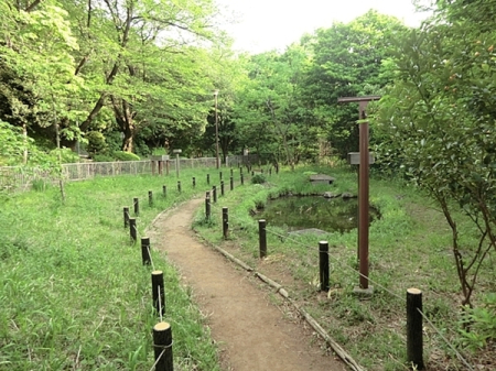 �_�ސ쌧���l�s�ߌ���n��3���ڂ̐V�z��ˌ��Ă̎��ӊ�