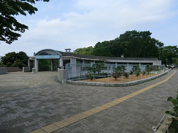 �_�ސ쌧���l�s�����V��̒��Ã}���V�����̎��ӊ�