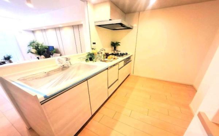 �_�ސ쌧���l�s�`���`��1���ڂ̒��Ã}���V�����̃L�b�`��