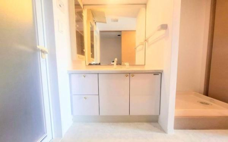 �_�ސ쌧���l�s��q��ێR1���ڂ̒��Ã}���V�����̐��ʑ�E���ʏ�