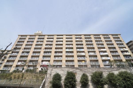 �_�ސ쌧���l�s����{�P�J�̒��Ã}���V�����̌��n�O�ώʐ^