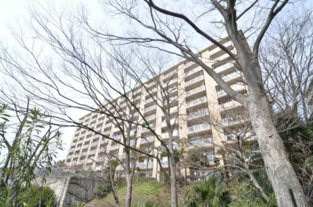 �_�ސ쌧���l�s����{�P�J�̒��Ã}���V�����̉摜