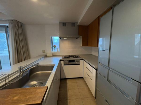 �_�ސ쌧���l�s����Z�g��1���ڂ̒��Ã}���V�����̃L�b�`��