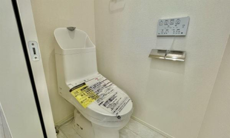 �_�ސ쌧���l�s���V�����̐V�z��ˌ��Ẵg�C��