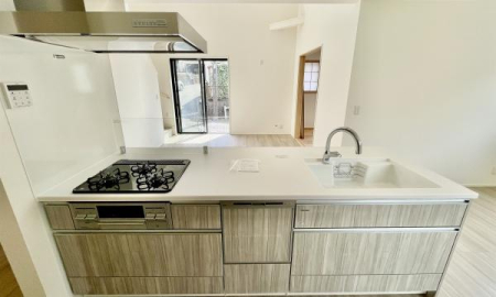 �_�ސ쌧���l�s���V�����̐V�z��ˌ��ẴL�b�`��