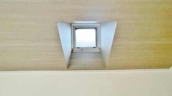 �_�ސ쌧���l�s�t��c�ޒ��̒��È�ˌ��Ẵ��r���O