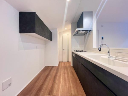 �_�ސ쌧���l�s�h��ѓ����̐V�z��ˌ��ẴL�b�`��