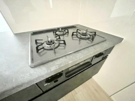 �_�ސ쌧���s���Ë抁�P�J3���ڂ̐V�z��ˌ��ẴL�b�`��