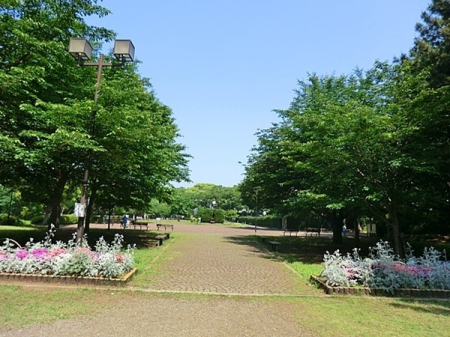 �_�ސ쌧���l�s�`�k����g5���ڂ̒��Ã}���V�����̎��ӊ�