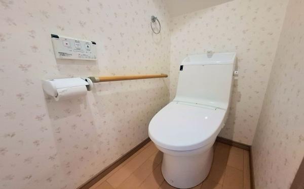�_�ސ쌧���l�s�`���ێR��3���ڂ̒��È�ˌ��Ẵg�C��