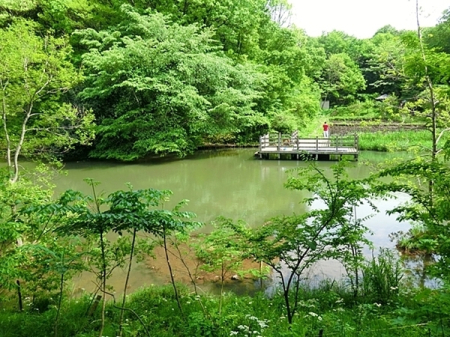 �_�ސ쌧���l�s�s�}�抝�P�蓌1���ڂ̒��Ã}���V�����̎��ӊ�