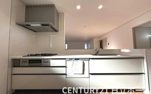 �_�ސ쌧���l�s�t��ޗǒ��̐V�z��ˌ��ẴL�b�`��