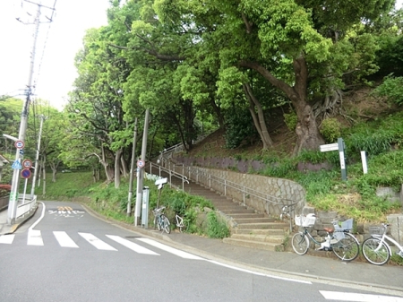 �_�ސ쌧���l�s�����R�̒��È�ˌ��Ă̎��ӊ�