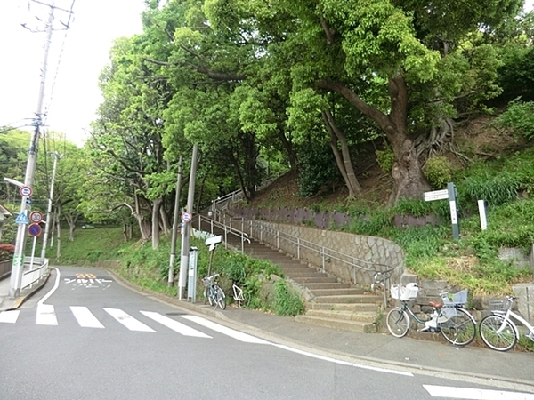 �_�ސ쌧���l�s�����R�̒��È�ˌ��Ă̎��ӊ�