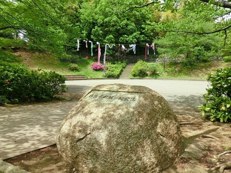 �_�ސ쌧���l�s�`�k����g�{��5���ڂ̒��Ã}���V�����̎��ӊ�