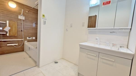 �_�ސ쌧���l�s���V�����̐V�z��ˌ��Ă̐��ʑ�E���ʏ�