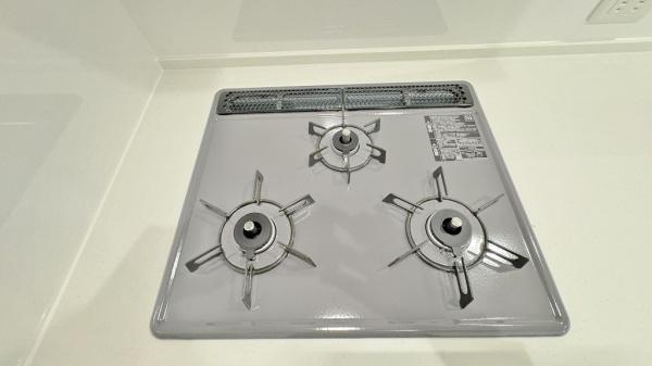 �_�ސ쌧���l�s���V�����̐V�z��ˌ��ẴL�b�`��