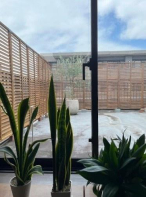 �_�ސ쌧���l�s�t��������u5���ڂ̒��Ã}���V�����̃o���R�j�[