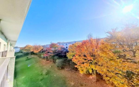 �_�ސ쌧���l�s�t��������u1���ڂ̒��Ã}���V�����̏Z�˂���̒��]�ʐ^