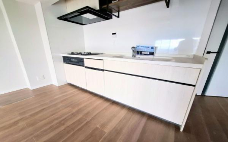 �_�ސ쌧���l�s�`�k��e��5���ڂ̒��Ã}���V�����̃L�b�`��