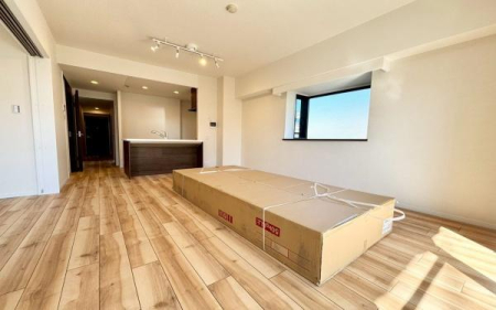 �_�ސ쌧���l�s�ۓy�P�J�擌�쓇�� 24-1�̒��Ã}���V�����̃��r���O