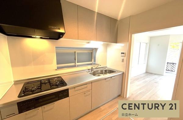 �_�ސ쌧���l�s�ۓy�P�J���꒬�̒��È�ˌ��ẴL�b�`��