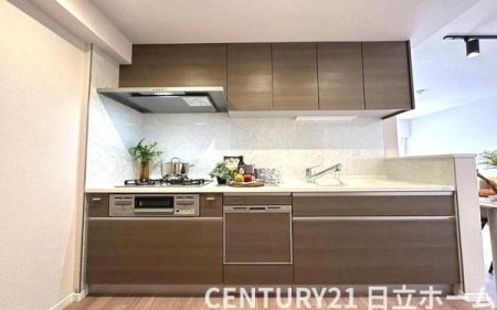 �_�ސ쌧���l�s�΋�\���s�꒬�̒��Ã}���V�����̃L�b�`��