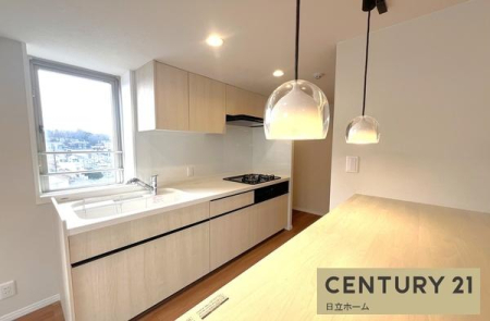 �_�ސ쌧���l�s�΋�O�ے��̒��Ã}���V�����̃L�b�`��