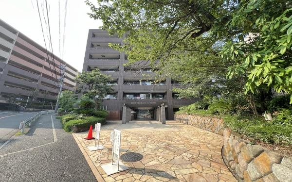 �_�ސ쌧���l�s�_�ސ��V�q��2���ڂ̒��Ã}���V�����̂��̑����n