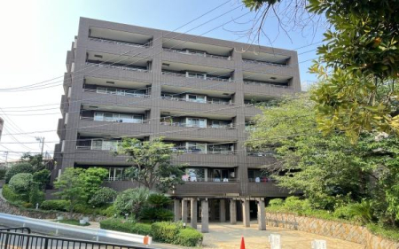 �_�ސ쌧���l�s�_�ސ��V�q��2���ڂ̒��Ã}���V�����̂��̑����n