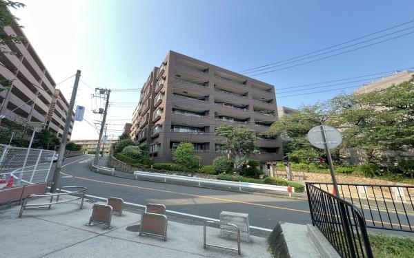 �_�ސ쌧���l�s�_�ސ��V�q��2���ڂ̒��Ã}���V�����̂��̑����n