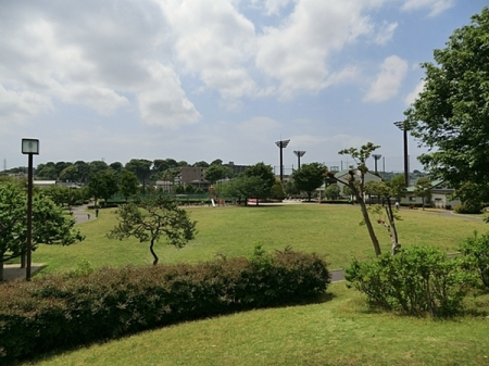 �_�ސ쌧���l�s��q�搙�c5���ڂ̒��Ã}���V�����̎��ӊ�