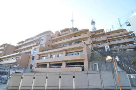 �_�ސ쌧���l�s���i�c�R����̒��Ã}���V�����̉摜