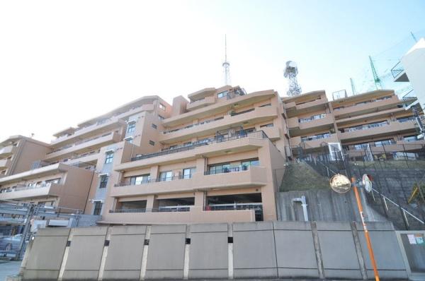 �_�ސ쌧���l�s���i�c�R����̒��Ã}���V�����̉摜