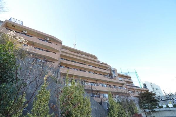 �_�ސ쌧���l�s���i�c�R����̒��Ã}���V�����̉摜