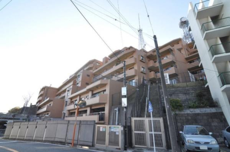 �_�ސ쌧���l�s���i�c�R����̒��Ã}���V�����̉摜