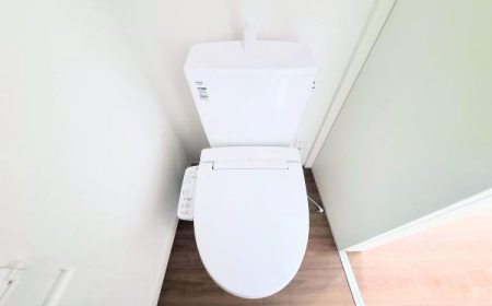 �_�ސ쌧���l�s����{�h���̐V�z��ˌ��Ẵg�C��