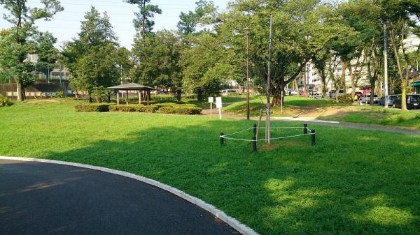 �_�ސ쌧���l�s�t��������u1���ڂ̒��Ã}���V�����̎��ӊ�