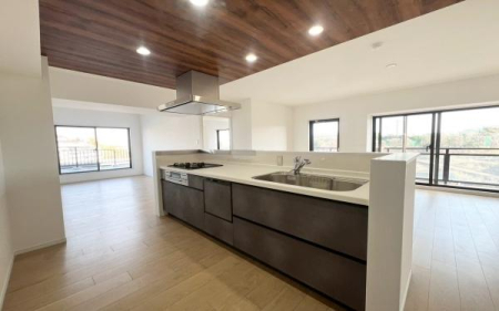 �_�ސ쌧���l�s�ۓy�P�J��@��3���ڂ̒��Ã}���V�����̃L�b�`��